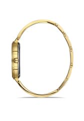 MOMENTUS SW231G-09SG